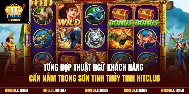 Sơn Tinh Thuỷ Tinh Hitclub| Game Nổ Hũ Đáng Chơi Nhất 2025 Tổng hợp thuật ngữ khách hàng cần nắm trong sơn tinh thủy tinh Hitclub